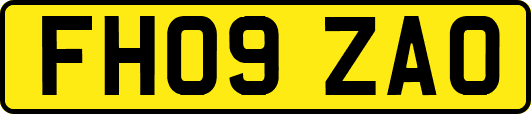 FH09ZAO