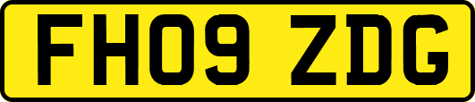 FH09ZDG
