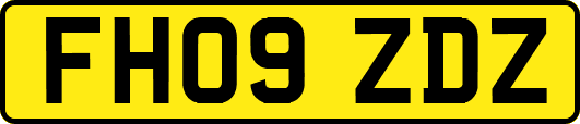 FH09ZDZ