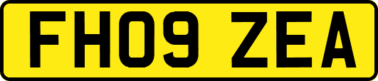 FH09ZEA
