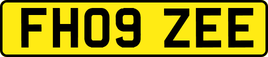 FH09ZEE
