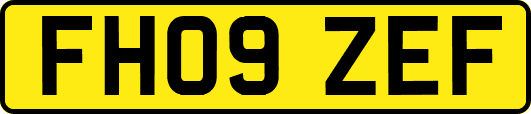 FH09ZEF