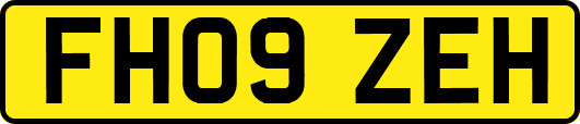 FH09ZEH