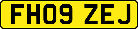 FH09ZEJ