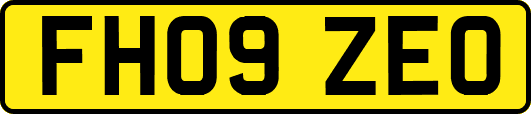 FH09ZEO