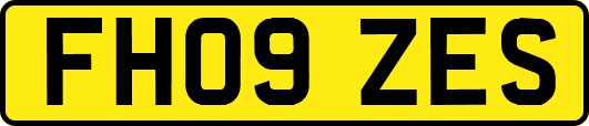 FH09ZES