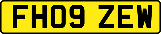 FH09ZEW