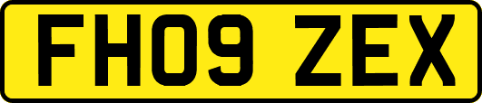 FH09ZEX