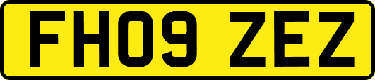 FH09ZEZ