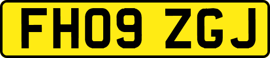 FH09ZGJ