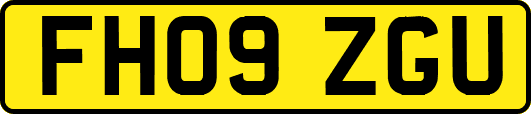 FH09ZGU