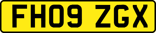 FH09ZGX