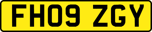FH09ZGY