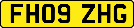FH09ZHG
