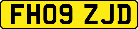 FH09ZJD