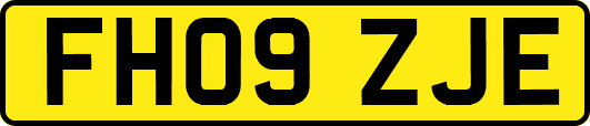 FH09ZJE