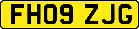 FH09ZJG