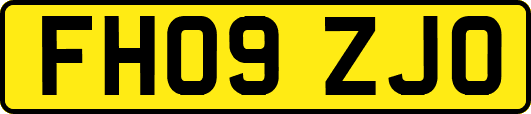 FH09ZJO