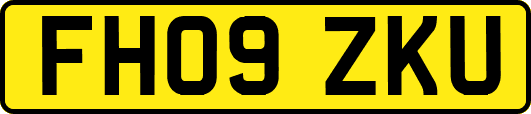 FH09ZKU