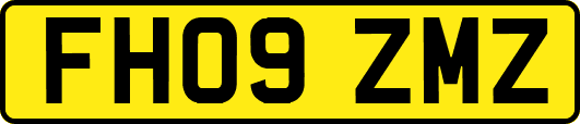 FH09ZMZ