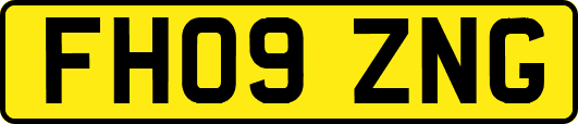 FH09ZNG