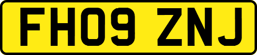 FH09ZNJ