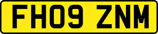 FH09ZNM
