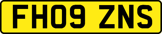 FH09ZNS