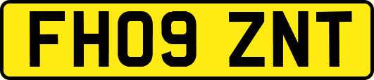 FH09ZNT