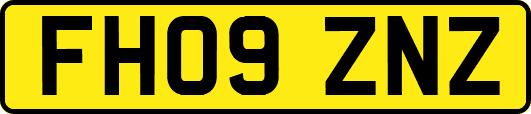 FH09ZNZ