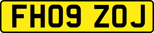 FH09ZOJ