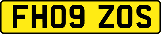FH09ZOS