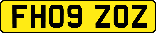 FH09ZOZ