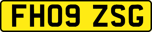 FH09ZSG