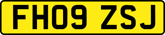FH09ZSJ