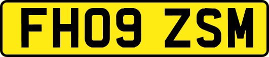 FH09ZSM