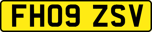 FH09ZSV