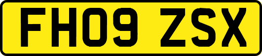 FH09ZSX