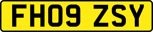 FH09ZSY