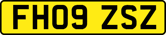 FH09ZSZ