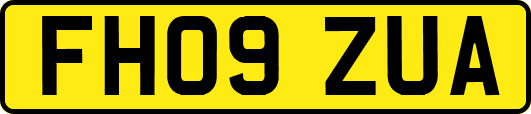 FH09ZUA