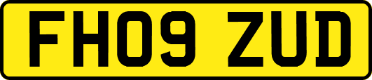 FH09ZUD