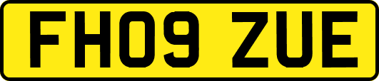 FH09ZUE