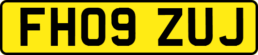 FH09ZUJ