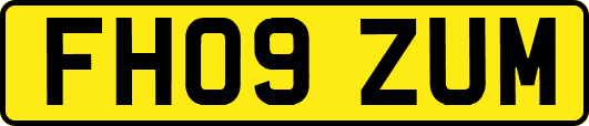 FH09ZUM