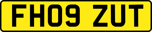 FH09ZUT