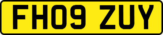 FH09ZUY