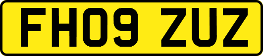 FH09ZUZ