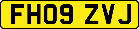 FH09ZVJ