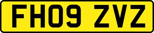 FH09ZVZ